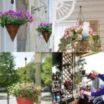 Retractable Hanging Plant Pulley Hanger – Adjustable Heavy-Duty Plant Hook for Easy Watering & Care - Image 8