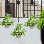 Retractable Hanging Plant Pulley Hanger – Adjustable Heavy-Duty Plant Hook for Easy Watering & Care - Image 9
