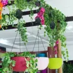 Retractable Hanging Plant Pulley Hanger – Adjustable Heavy-Duty Plant Hook for Easy Watering & Care - Image 2